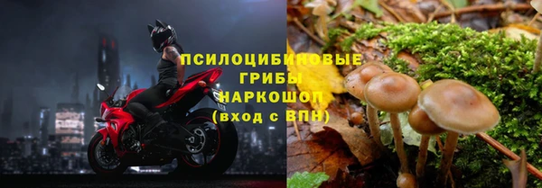 ALPHA PVP Краснотурьинск