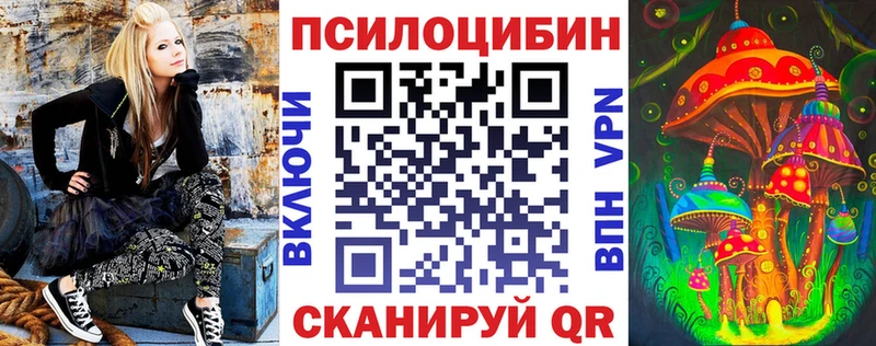 Галлюциногенные грибы Psilocybine cubensis  Купить  Бородино 